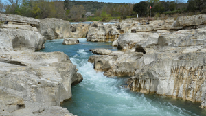 Lutte contre les nuisibles La Roche-sur-Yon